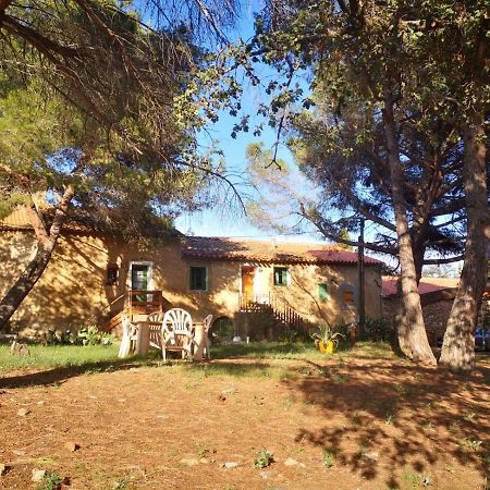 Maison Entiere Hameau Monastir Del Camp Passa Luaran gambar